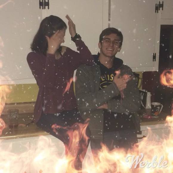 Meet your Posher, Skylar - Picture 1 of 1